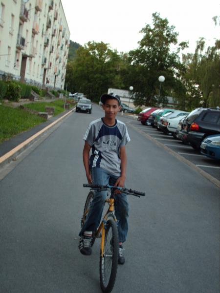 en face des blog de bois bryas